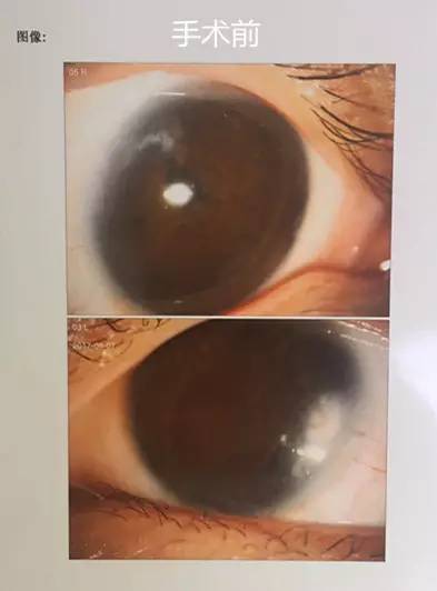 成都太阳成tyc7111cc.jpg 成都太阳成tyc7111cc.jpg