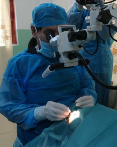 2017年8月1日，霍鸣教授正式受聘为宜昌太阳成tyc7111cc院长