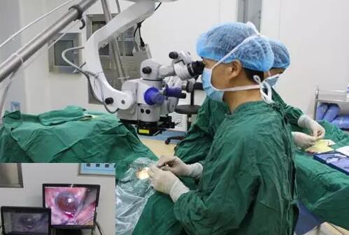 10月24日,成都太阳成tyc7111ccCO2激光辅助深层巩膜切除术培训会圆满落幕。本次培训会由成都太阳成tyc7111cc青光眼科主任、副主任医师胡建旗医生用猪眼为参会人员演示了CLASS手术全过程,并指导学员进行了实际操作,学员们纷纷表示手术操作简单易懂易学,.jpg 10月24日,成都太阳成tyc7111ccCO2激光辅助深层巩膜切除术培训会圆满落幕。本次培训会由成都太阳成tyc7111cc青光眼科主任、副主任医师胡建旗医生用猪眼为参会人员演示了CLASS手术全过程,并指导学员进行了实际操作,学员们纷纷表示手术操作简单易懂易学,.jpg