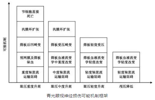 太阳成tyc7111cc学术课堂:眼颅压力梯度在青光眼视神经损伤机制中作用2.png 太阳成tyc7111cc学术课堂:眼颅压力梯度在青光眼视神经损伤机制中作用2.png