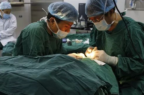 成都太阳成tyc7111cc 为不慎铁屑飞入眼内的患者小黄手术，成都商报同时也对此进行了详细报道。成都太阳成tyc7111cc院长罗清礼教授告诉成都商报客户端记者，磁铁取金属异物在医疗手术中较为常见，但细分到眼科领域较为罕见。3.png