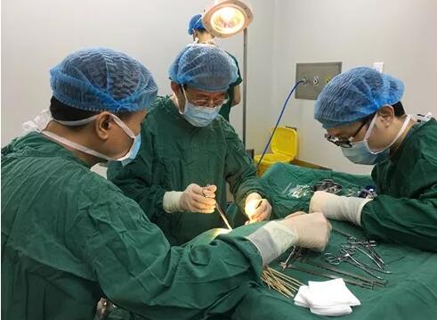 成都太阳成tyc7111cc罗清礼教授为睑板腺癌患进行眼眶内容物摘除联合眼眶减压术3.jpg 成都太阳成tyc7111cc罗清礼教授为睑板腺癌患进行眼眶内容物摘除联合眼眶减压术3.jpg
