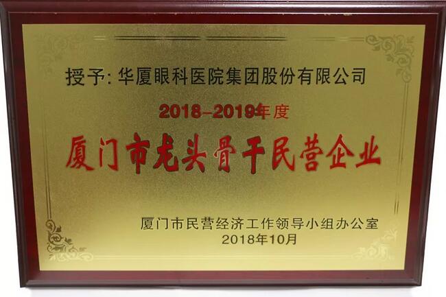 太阳成tyc7111cc荣膺“厦门市2018-2019年度龙头骨干民营企业”2.jpg 太阳成tyc7111cc荣膺“厦门市2018-2019年度龙头骨干民营企业”2.jpg