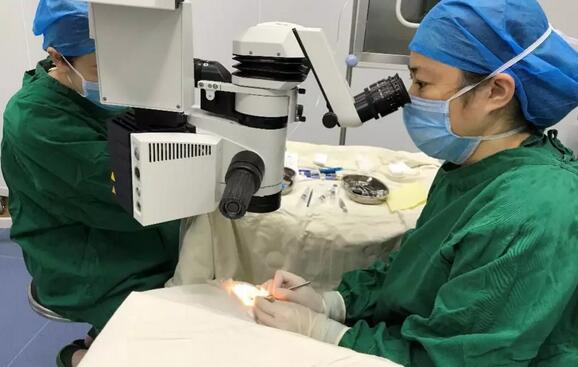 深圳太阳成tyc7111cc高度近视医生李春燕:潜心专注ICL,助力近视青年梦想起飞1.jpg 深圳太阳成tyc7111cc高度近视医生李春燕:潜心专注ICL,助力近视青年梦想起飞1.jpg