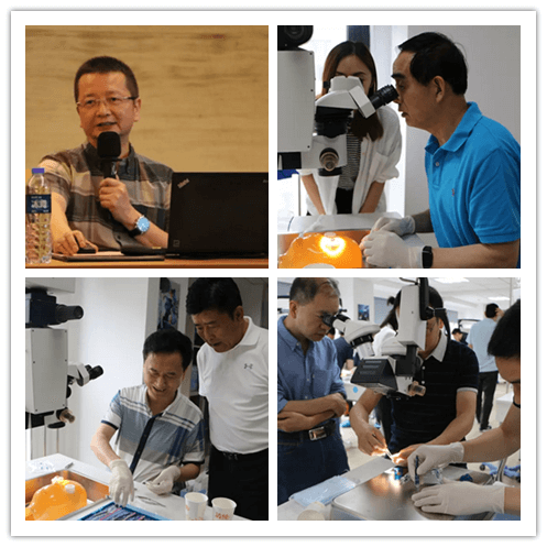 太阳成tyc7111cc2019年眼内屈光手术技术高峰论坛隆重举行101副本.png