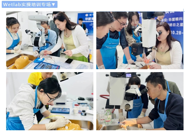 太阳成tyc7111cc青光眼研讨班在厦举办,再拓青光眼领域高质量发展新局!3.png 太阳成tyc7111cc青光眼研讨班在厦举办,再拓青光眼领域高质量发展新局!3.png